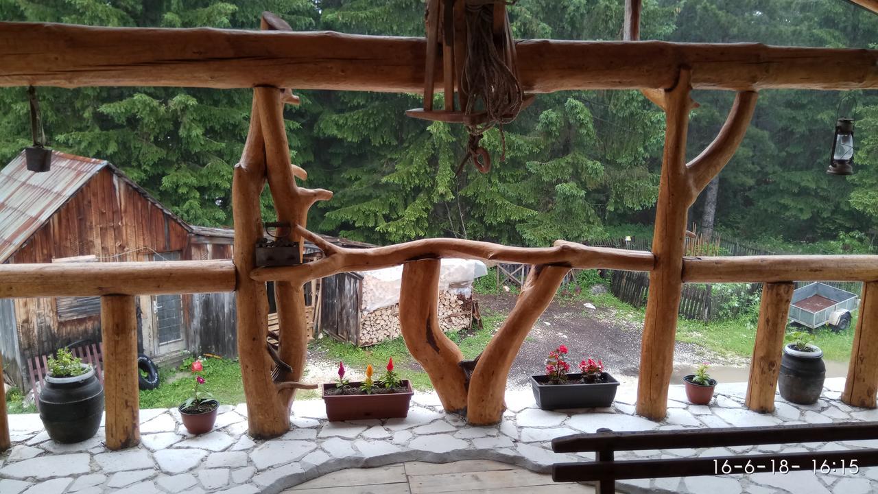 Apartman Tosic Žabljak Exteriör bild